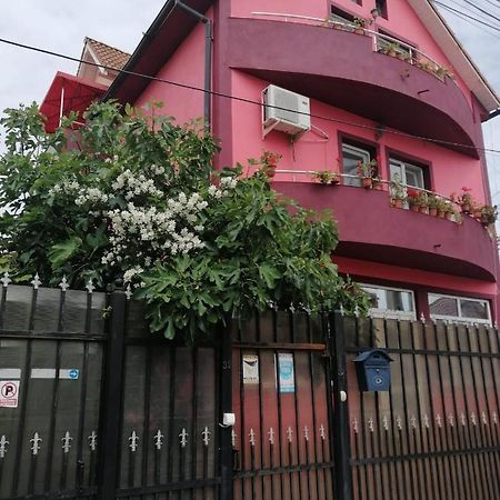 Vila Mihai Navodari Exterior photo