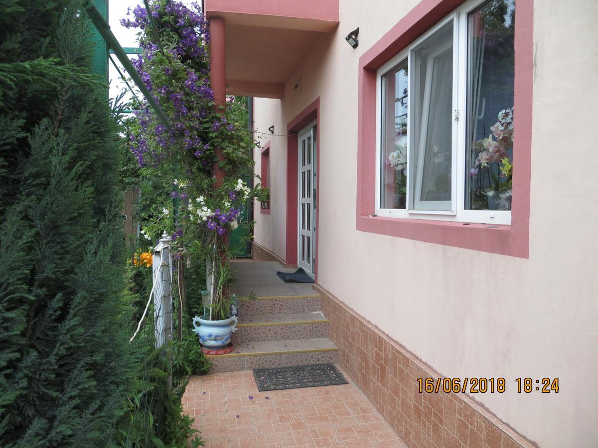 Vila Mihai Navodari Exterior photo